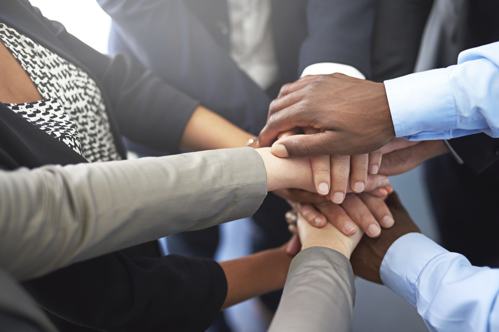 Managing Professionals for HabeshaPro Team